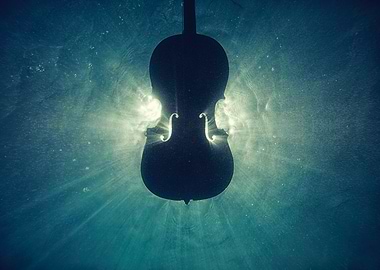 Cello in the sun