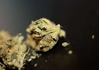 Cannabis buds backgrounds