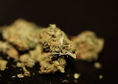 Cannabis buds backgrounds