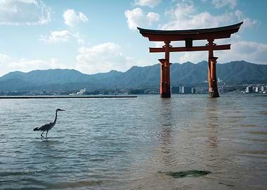 Fresh views of Torii Gates
