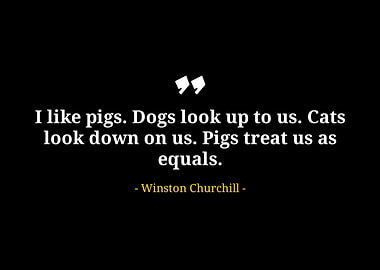 Winston Churchill quotes