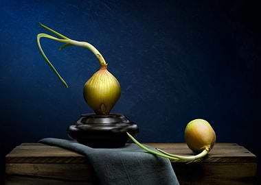 Onion still life fine art