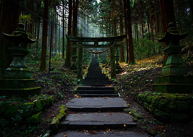 Evergreen Torii Gate