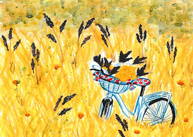 Bicycle in the field