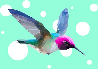 Hummingbird