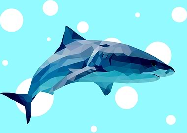 Shark