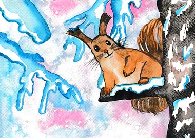 Winter squirrel