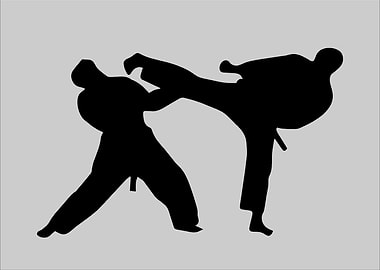 Martial Arts
