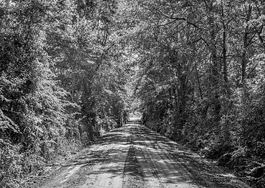 Southern Dirt Road