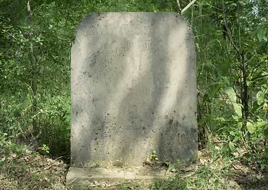 Tombstone forest empty bla