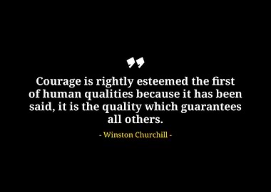 Winston Churchill quotes