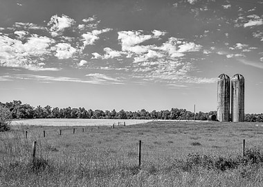 Field Agriculture Silos