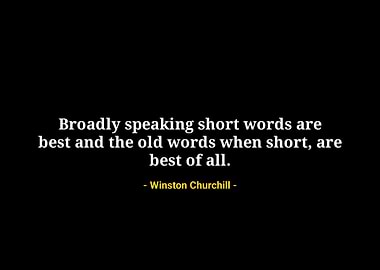 Winston Churchill quotes