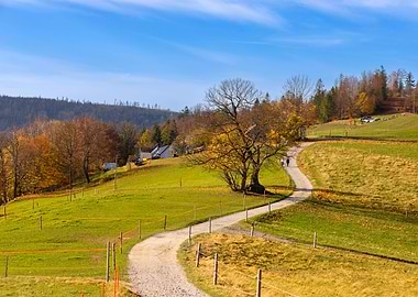 Autumn trees, mountains