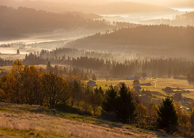 Autumn tress in mountains