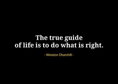 Winston Churchill quotes