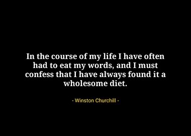 Winston Churchill quotes