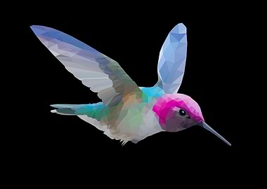 Hummingbird