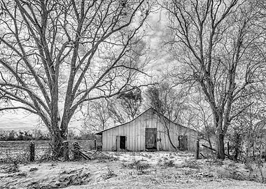 January Snow Day Shed
