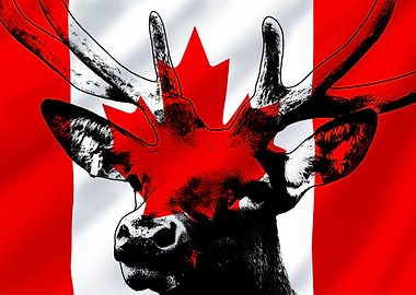 Canada Souvenir Moose Gift