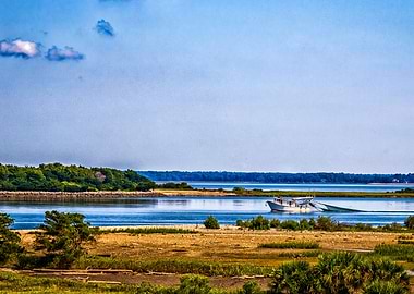 Shrimping on the River