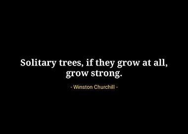 Winston Churchill quotes