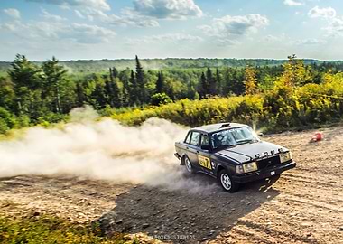 Volvo 244 Rally