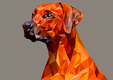 dog polygon straight face