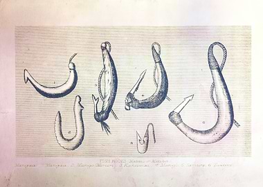Maori fish hooks