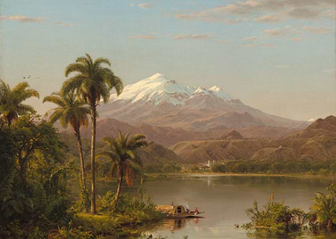 Tamaca Palms 1854