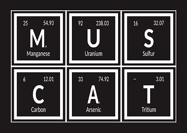 Elements of Muscat City