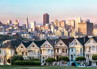Painted ladies and skyline