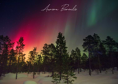 Aurora Borealis