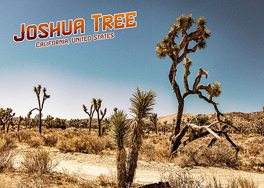 Joshua Tree National Park