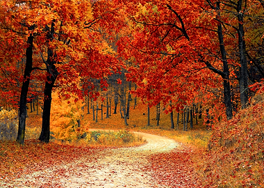 Vietnamese Landscape