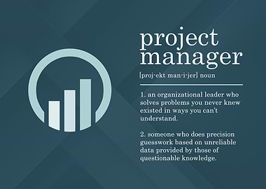 Project Manager Definition