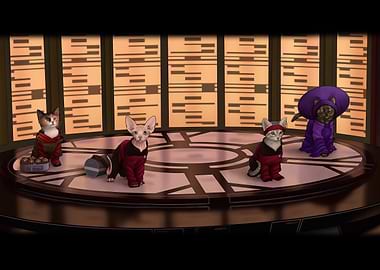 STNG Small Cats