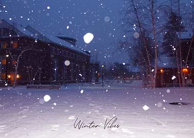 Winter Vibes
