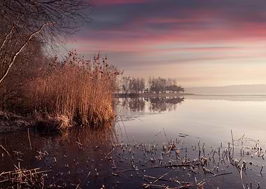 Winter morning travel
