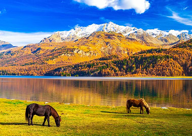 Life in the Engadine