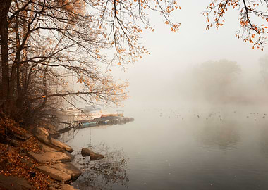 Autumn travel, misty lake