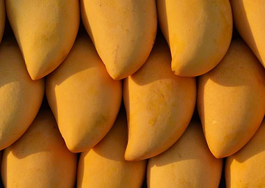 mangoes
