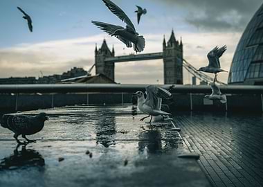 tower bridge with birds