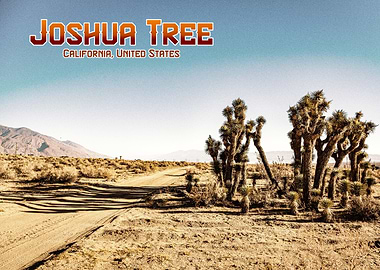 Joshua Tree National Park