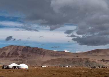 mongolia Meadow