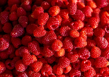 Red raspberries full frame