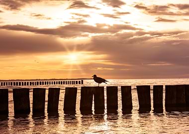 Evening on the coast