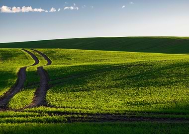 Green field and cean blue