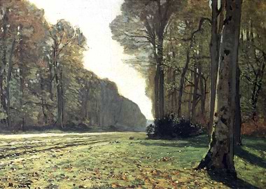 pave de chailly in forest