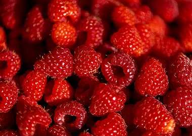 Red raspberries full frame